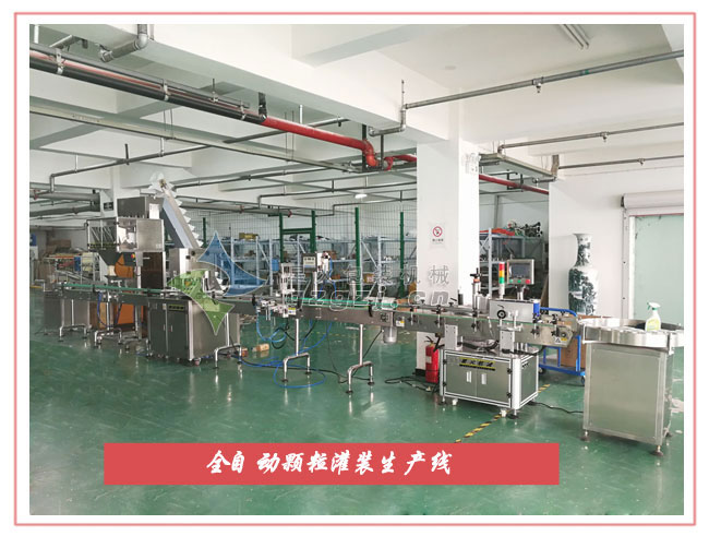 全自動(dòng)顆粒灌裝生產(chǎn)線