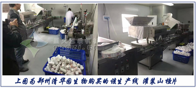 全自動數(shù)粒灌裝生產(chǎn)線