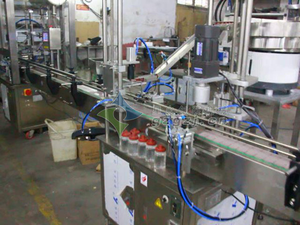 全自動涂料灌裝機(jī)